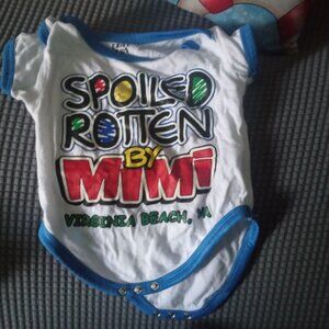 Virginia Beach onesie